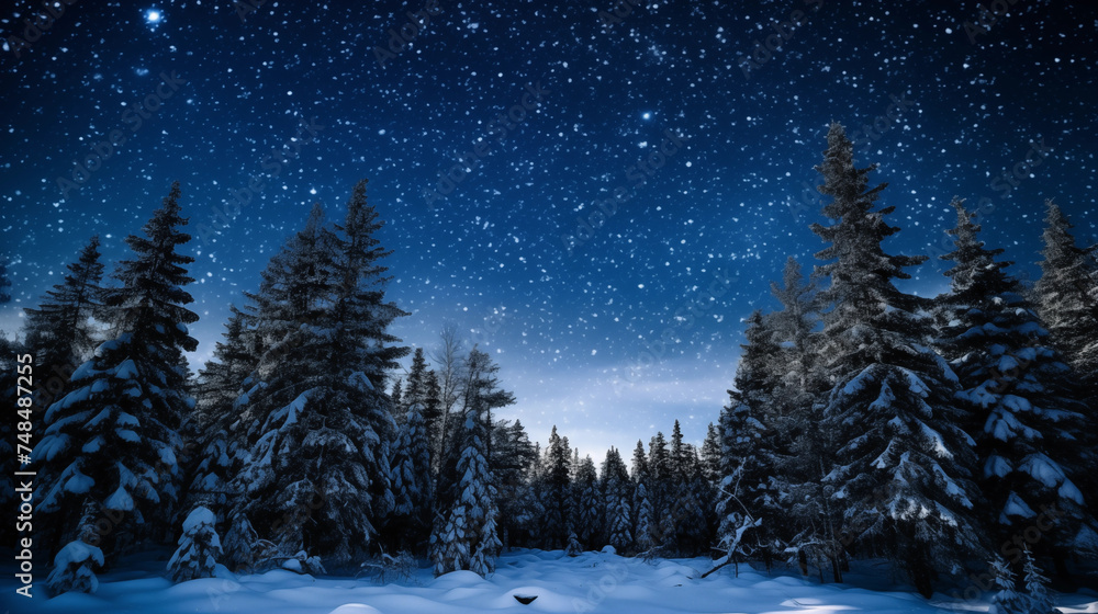 A starry night sky above a snowy landscape, with pine trees covered in snow.