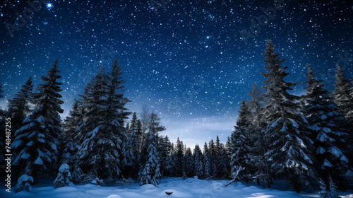A starry night sky above a snowy landscape, with pine trees covered in snow.