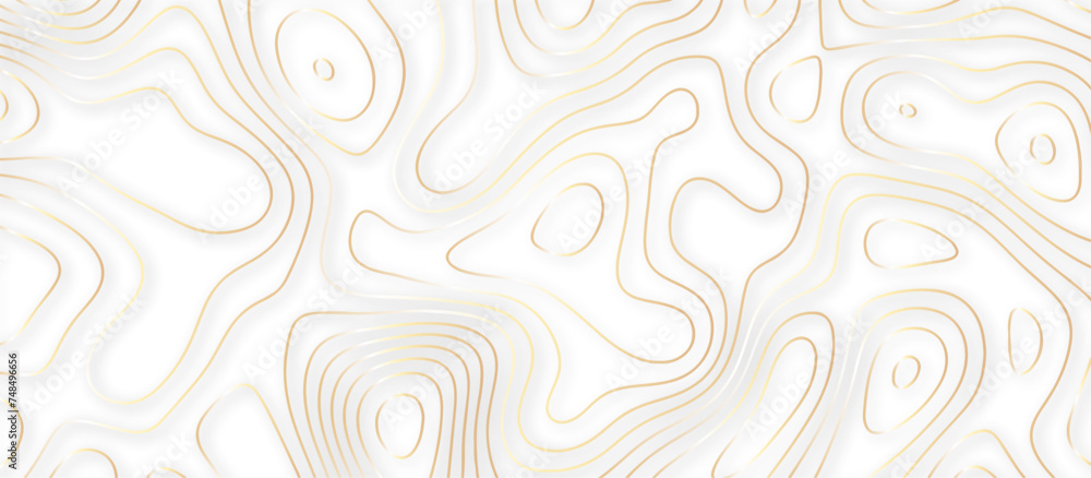 Abstract topographic contours 3d map background .topographic line texture background .monochrome image .stylized height of the topographic map contour in lines.	