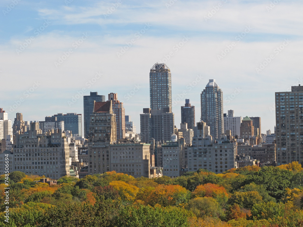 City, buildings and skyline or downtown park or architecture development in New York, Manhattan or travel. Infrastructure, trees and skyscraper for urban explore in environment, holiday or cityscape