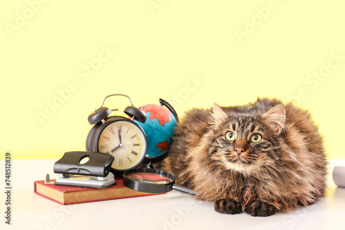 Cute cat with stationery, c...