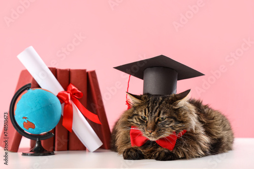 Cute cat with graduation ha...