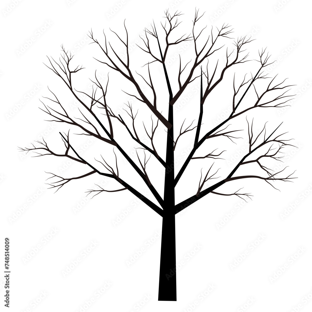 Obraz premium 枯れ木 木 シルエット アイコン