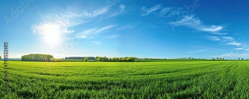 View of vast green fields with a blue sky and bright sun during the day.