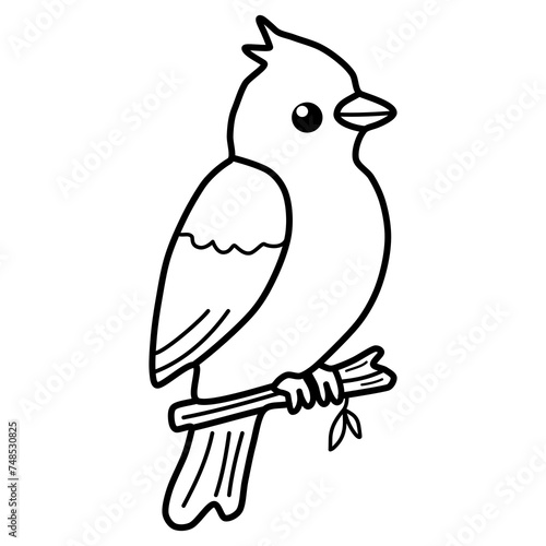 Bird outline hand draw for coloring pages.