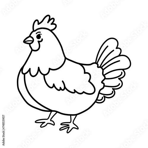 Chicken outline hand draw for coloring pages. © Lovianna