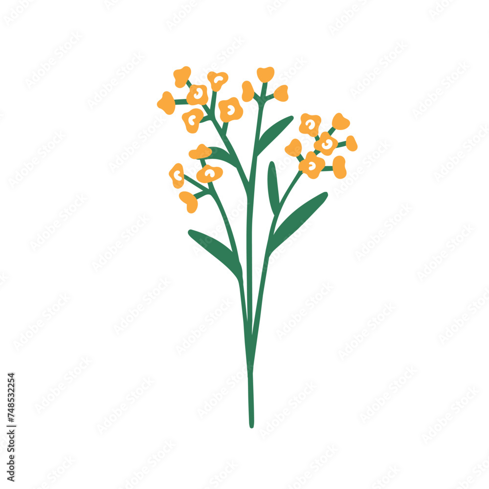 Floral branch. Spring flower twig. Fragile delicate field bloom. Meadow herbs, herbal sprig. Beautiful gentle simple flora. Botanical natural flat vector illustration isolated on white background Floral branch. Spring flower twig. Fragile delicate field bloom. Meadow herbs, herbal sprig. Beautiful gentle simple flora. Botanical natural flat vector illustration isolated on white background