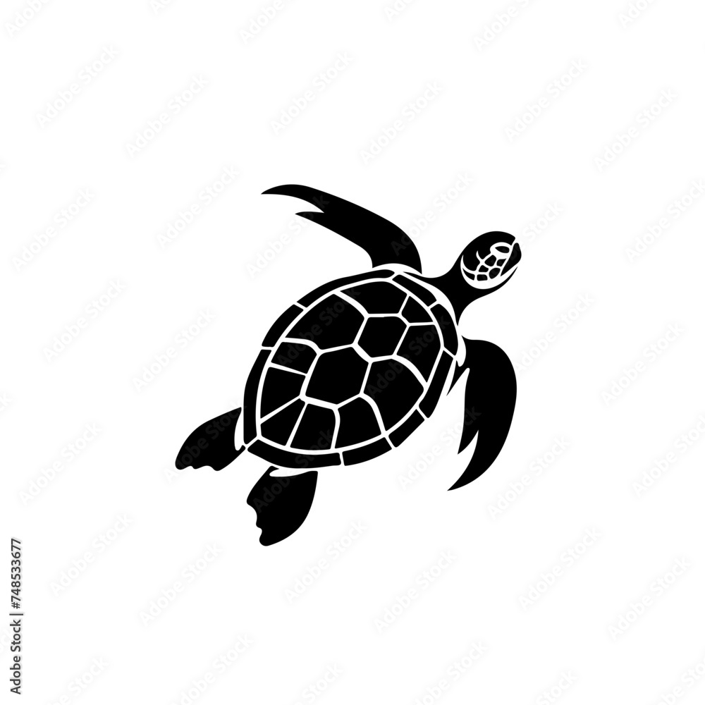 Obraz premium Flying Turtle