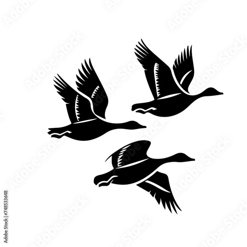 Flying Geese Hunting photo