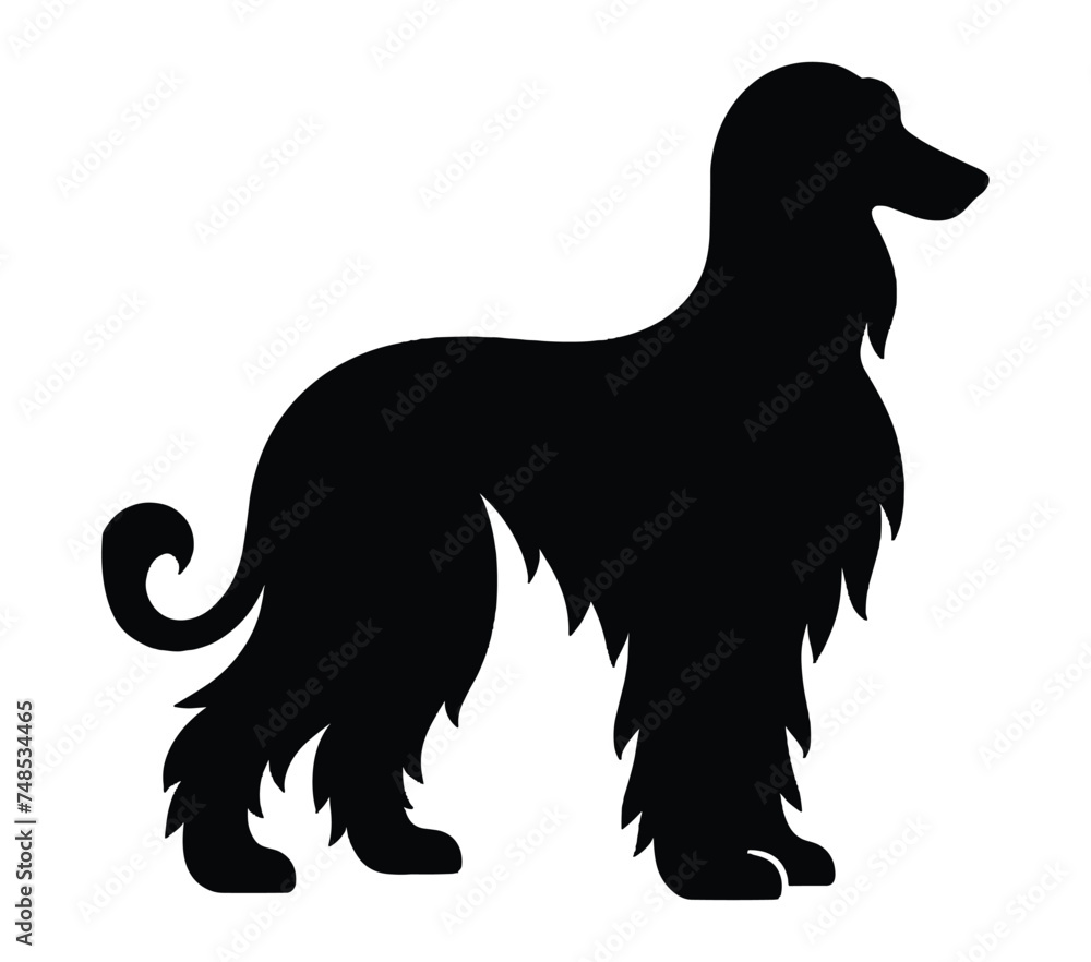 Afghan Hound silhouette icon. Vector image.