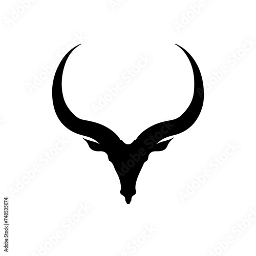 Horns photo