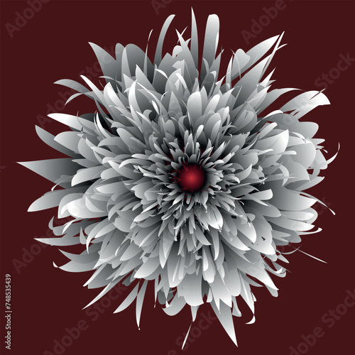 Beautiful flower, close up. The plant has a blossoming bud, which consists of a large number of petals growing from the center of the flower. The illustration can be used as decoration.