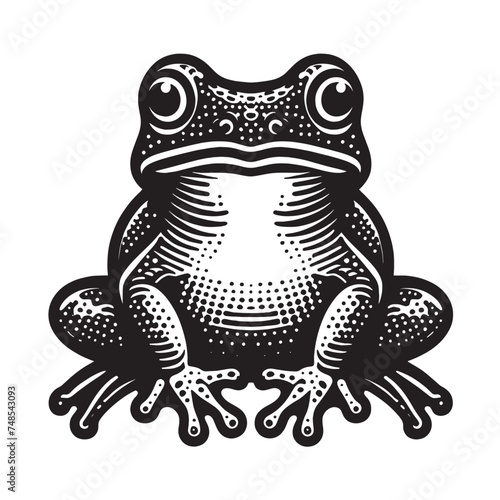 Frog. Vintage engraving illustration, logo, emblem. isolated object photo