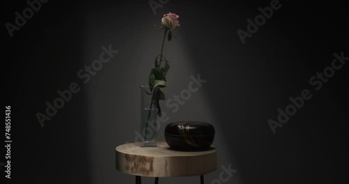 A single rose withers in a vase photo