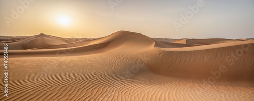 Rub al Khali desert panorama at sunset, Empty Quarter, Abu Dhabi, United Arab Emirates photo
