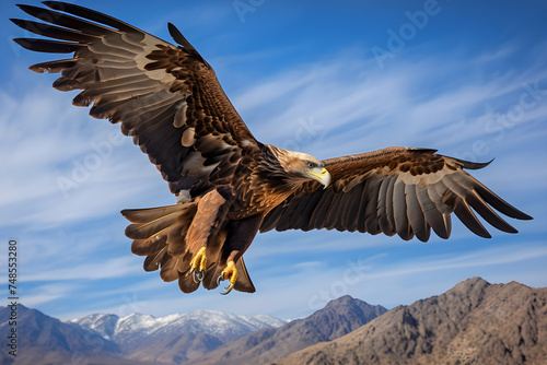 Majestic Mid-Flight Picture of an Aguila (Eagle) Soaring Above a breathtaking Landscape © Leonard