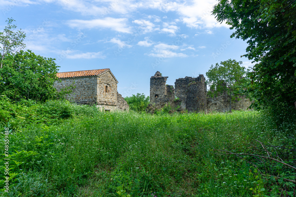 Old church and ruins of a fortress on a green meadow surrounded by grass, bushes and trees. Bright blue sky with clouds.