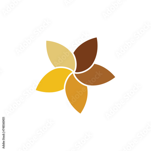 Flower plumeria logo vector element symbol design