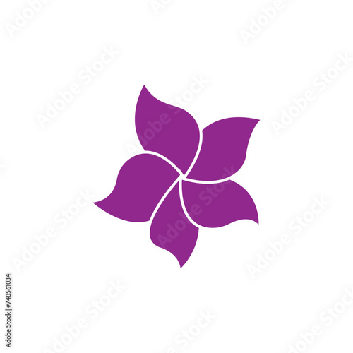 Flower plumeria logo vector element symbol design © evandri237@gmail