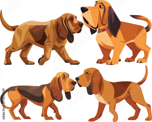 vector bloodhound dog walking