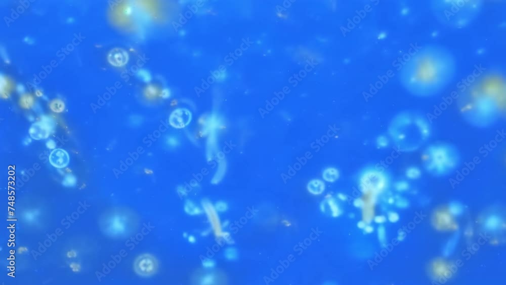 germs in water germs in water