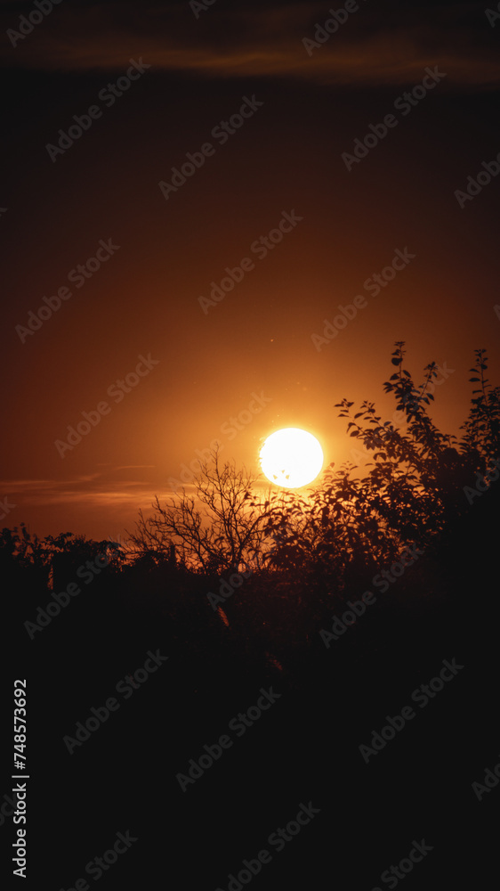 Obraz premium Photo of a breathtaking sunset, painting the sky with vibrant hues of orange and gold, evoking a sense of peace and wonder as day transitions into night