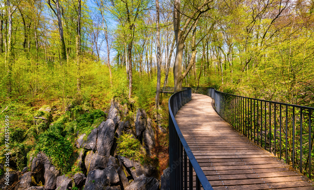Obraz premium Panorama with pedestrian bridge crossing a small canyon in the “Felsenmeer“ in Hemer Sauerland (Germany), a natural reserve with limestone rocks, caves and tall beech trees on a sunny spring day.