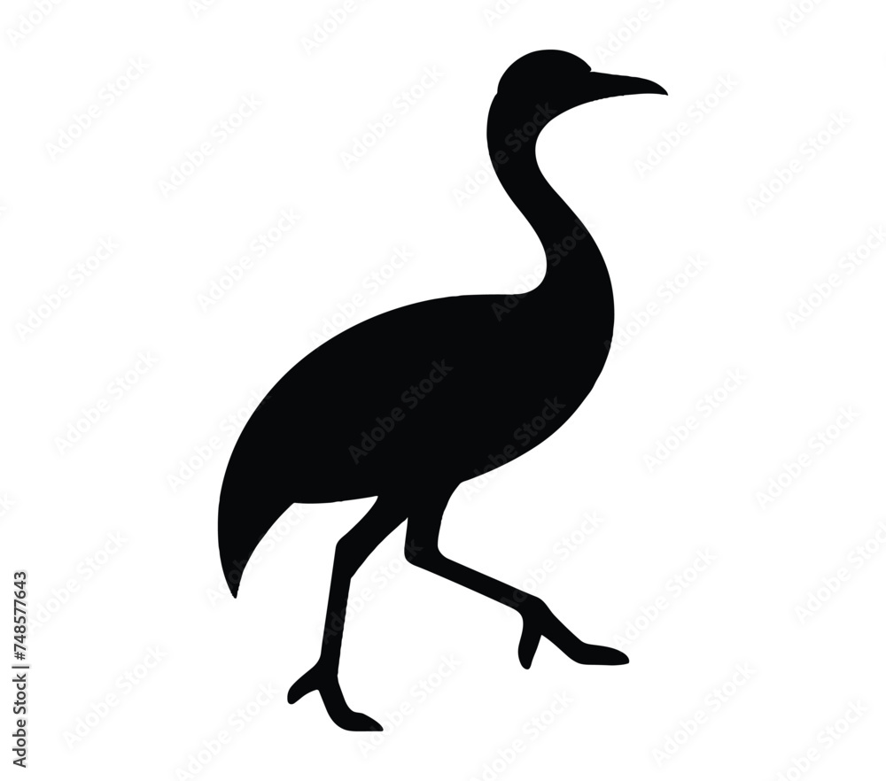Black and white vector illustration of African Finfoot.