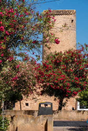 Molí d'en Perdiu, Llucmajor, Mallorca, Balearic Islands, Spain photo