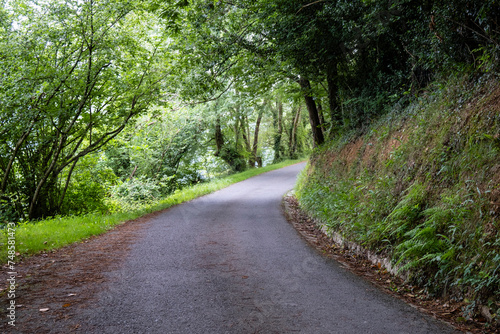 rural road through the forest, Basque Country, Andoain, Spain photo