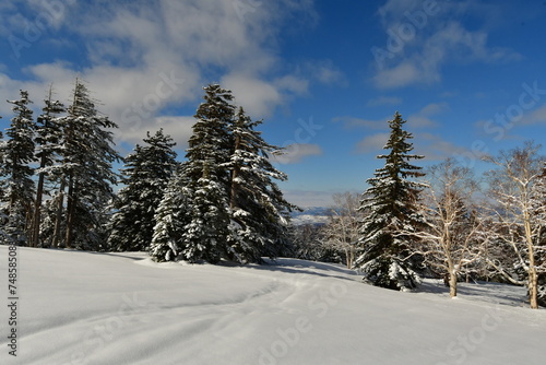 Winter Mountain Landscape Mount Biei Fuji Hokkaido Japan