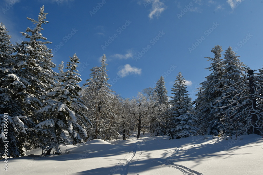 Winter Mountain Landscape Mount Biei Fuji Hokkaido Japan