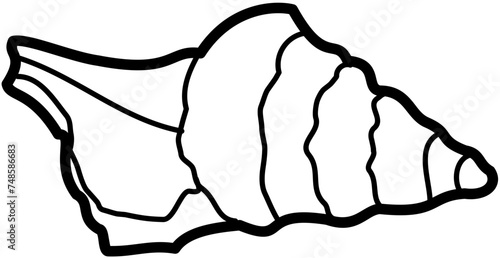 Exotic sheashell doodle beach sand