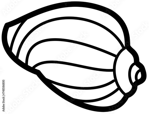 Exotic sheashell doodle beach sand