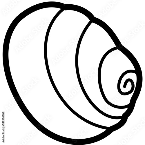 Exotic sheashell doodle beach sand