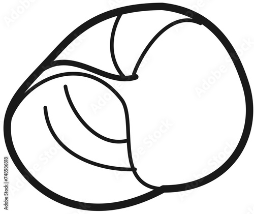 exotic seashell outline beach sand