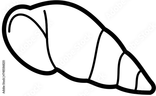 exotic seashell outline beach sand