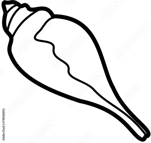 exotic seashell outline beach sand