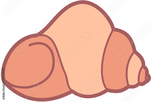 Exotic sheashell doodle beach sand