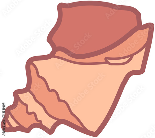 exotic, seashell, doodle, beach, sand