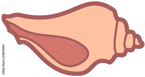 Exotic sheashell doodle beach sand