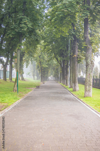 City summer park in the fog. A park alley with benches is buried in fog