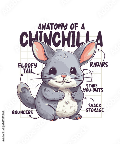 Entzückende Skizze Zur Anatomie Einer Chinchilla photo