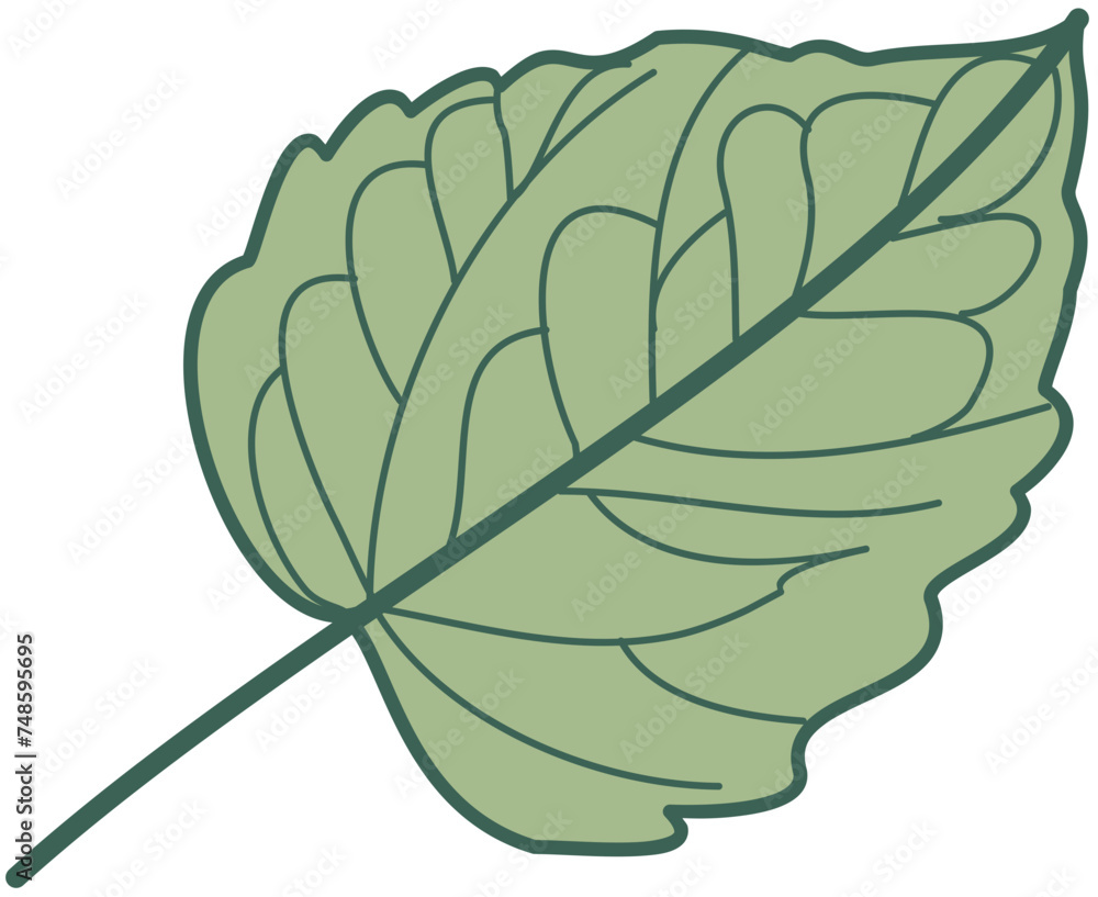 Doodle green leafs bones monochrome Doodle green leafs bones monochrome