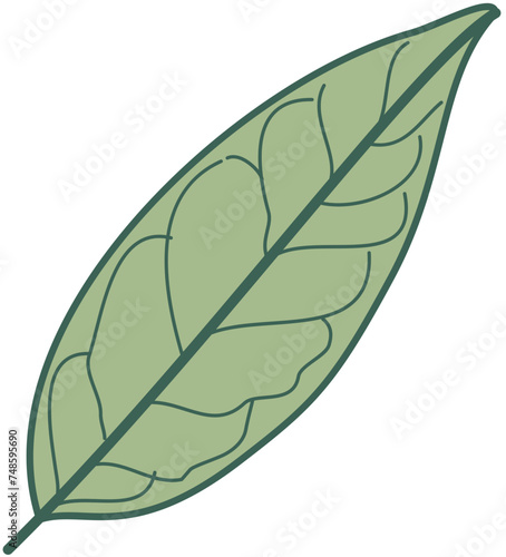 Doodle green leafs bones monochrome photo