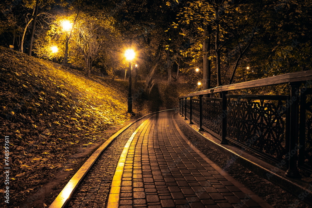 The teiled road in the night park with lanterns in autumn. Benches in the park during the autumn season at night. Illumination of a park road with lanterns at night. Mariinsky Park. Kyiv