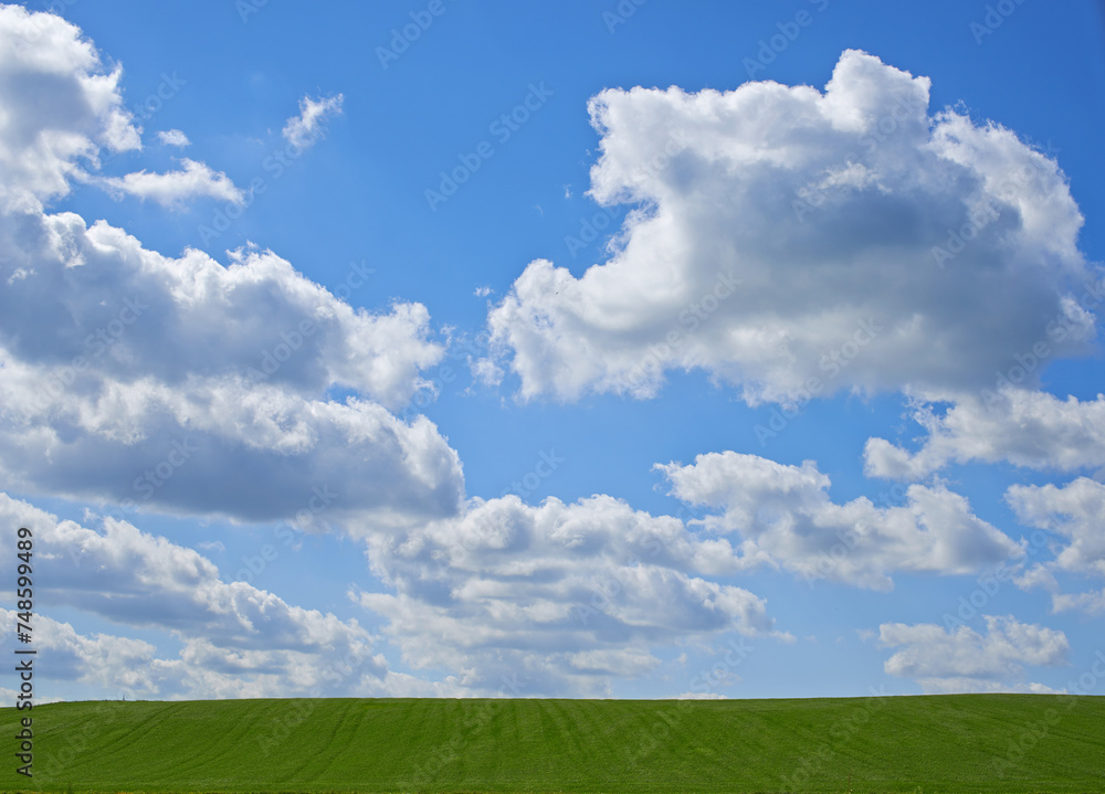 Blue sky, clouds and landscape at countryside with environment, sustainability and summer sunshine. Nature, beauty and field with grass for eco friendly, growth and horizon with lawn on earth Blue sky, clouds and landscape at countryside with environment, sustainability and summer sunshine. Nature, beauty and field with grass for eco friendly, growth and horizon with lawn on earth