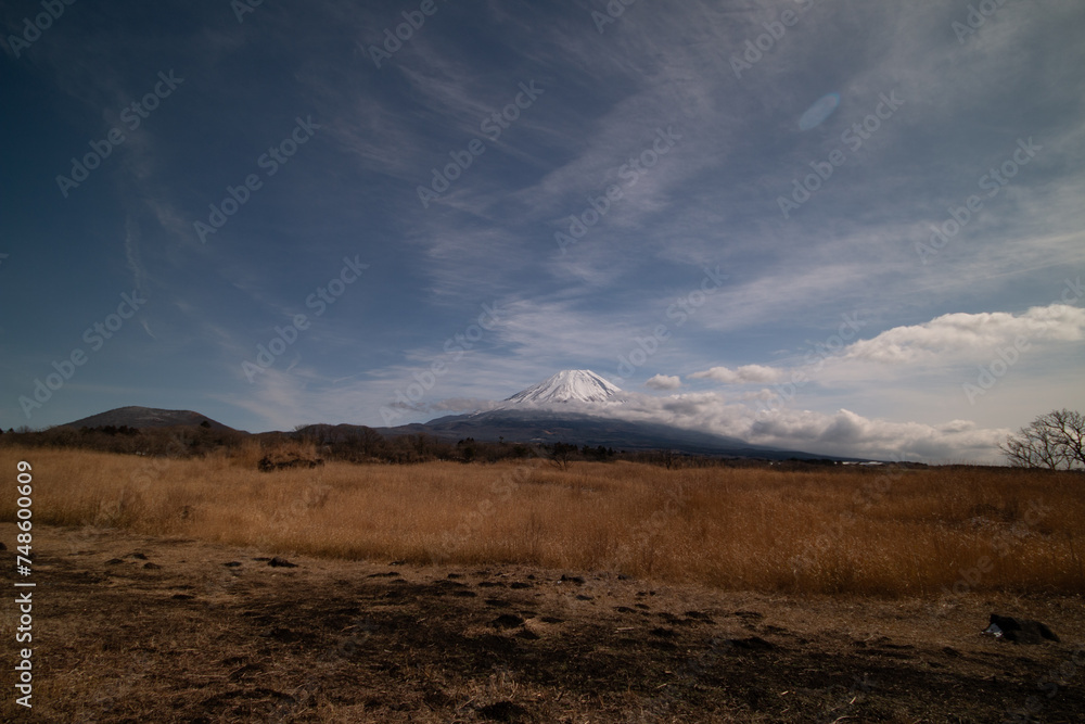 朝霧高原と富士山