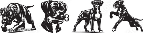 boxer breed dog  vector black white set shape