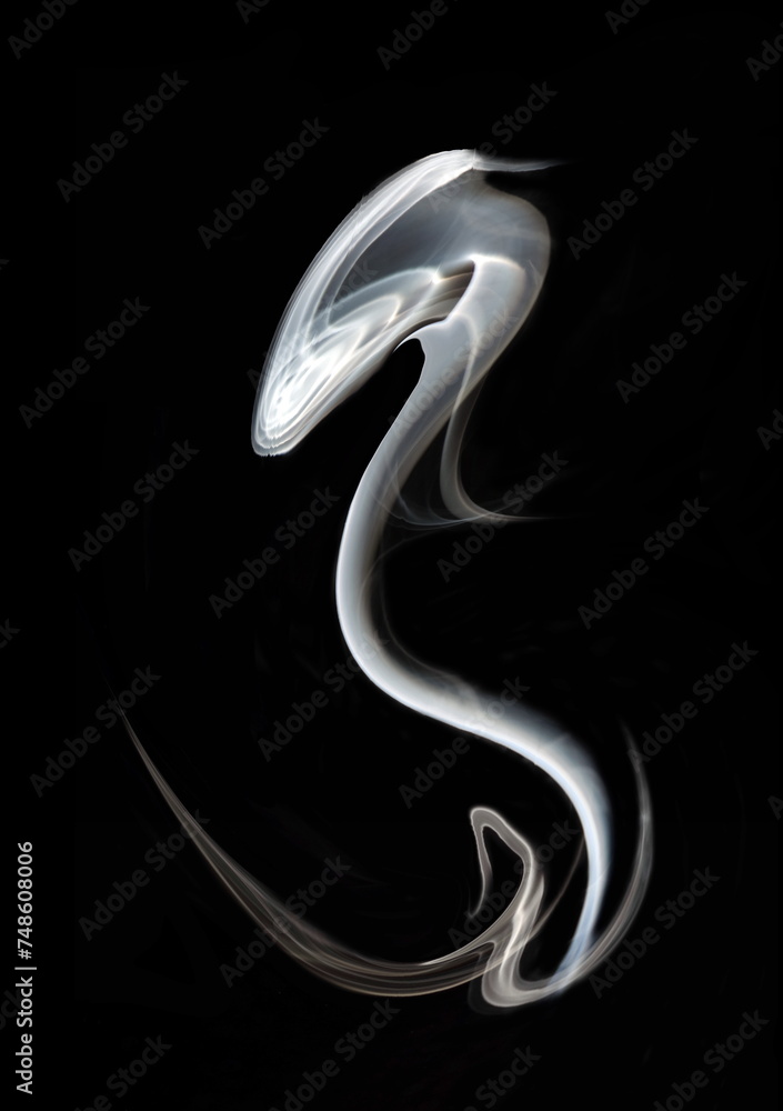 Obraz premium the snake, emulation, art abstract photo of fuzzy shapes of smoke on a black background.